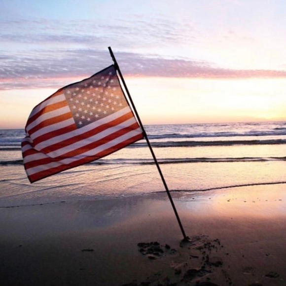 L*SPACE Set - Sporty Ren Crop Bikini Top & High Waist Wilson Bitsy Cut Bottoms - Picture 8 of 17